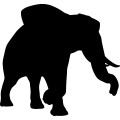 (image for) Elephant 3 =