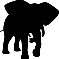 (image for) Elephant 6 _