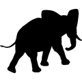 (image for) Elephant 7 _
