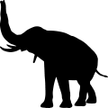 (image for) Elephant 8 _