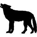 (image for) Wolf 1 =