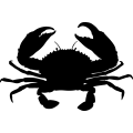 (image for) Crab 2 =