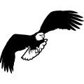 (image for) Eagle 14 =