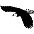 (image for) Eagle 23 =