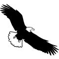 (image for) Eagle 27 =