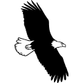 (image for) Eagle 28 =