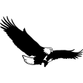 (image for) Eagle 29 =