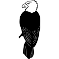 (image for) Eagle 3 =