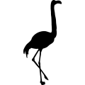 (image for) Flamingo 7 =