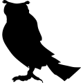 (image for) Horned Owl 1 _