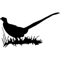 (image for) Pheasant 3 =