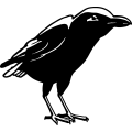 (image for) Raven 1 =
