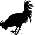 (image for) Rooster 1 =