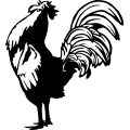 (image for) Rooster 3 =
