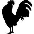 (image for) Rooster 3a =