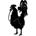 (image for) Rooster 5 =