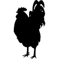 (image for) Rooster 5a =