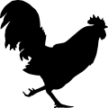 (image for) Rooster 6a _