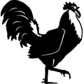 (image for) Rooster 7 =