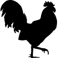 (image for) Rooster 7a _