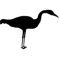 (image for) Whooping Crane 2 =