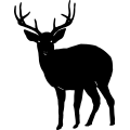 (image for) Buck 10 =