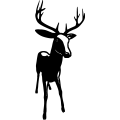 (image for) Buck 20 =