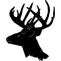(image for) Deer Head 5 =