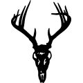 (image for) Deer Skull 1 =