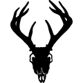(image for) Deer Skull 7 =