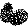 (image for) Pine Cones 1 =