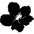 (image for) Flower 21a =