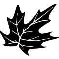 (image for) Leaf 1 _