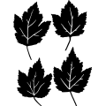 (image for) Leaf 4 ! =