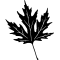 (image for) Leaf 8 =