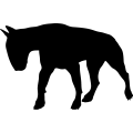 (image for) Bull Terrier 18 _
