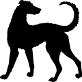 (image for) Dog 33 _