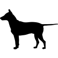 (image for) Dog 38 _