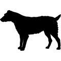 (image for) Dog 39 =