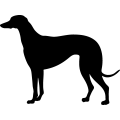 (image for) Dog 40 =