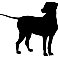 (image for) Dog 43 _