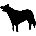 (image for) Dog 5 _