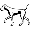(image for) Great Dane 23 =