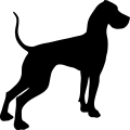 (image for) Great Dane 34a =