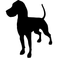 (image for) Great Dane 35a _
