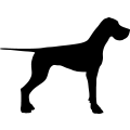(image for) Great Dane 40a _
