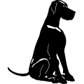 (image for) Great Dane 8 =