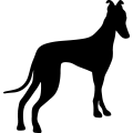 (image for) Greyhound 4 _
