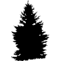 (image for) Tree 4 =