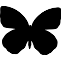 Butterfly 010 _